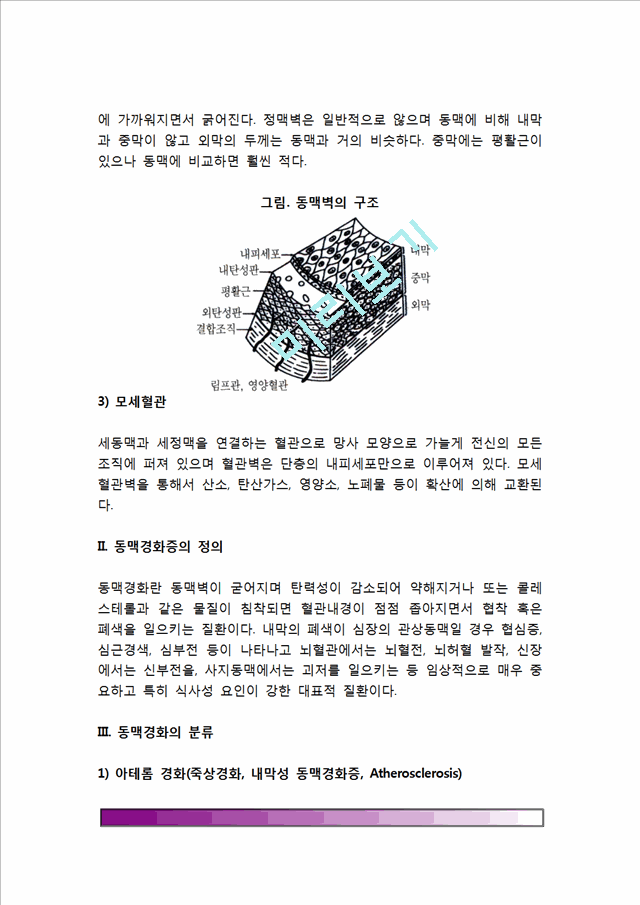 [동맥경화증] 동맥경화의 원인(요인)과 분류(종류-아테롬경화,중막경화,세동맥경화), 동맥경화의 증상 및 합병증, 동맥경화증 치료의 식사요법(식이요법).hwp